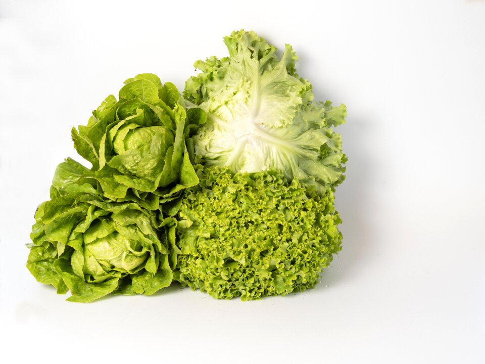 Lettuce varieties health