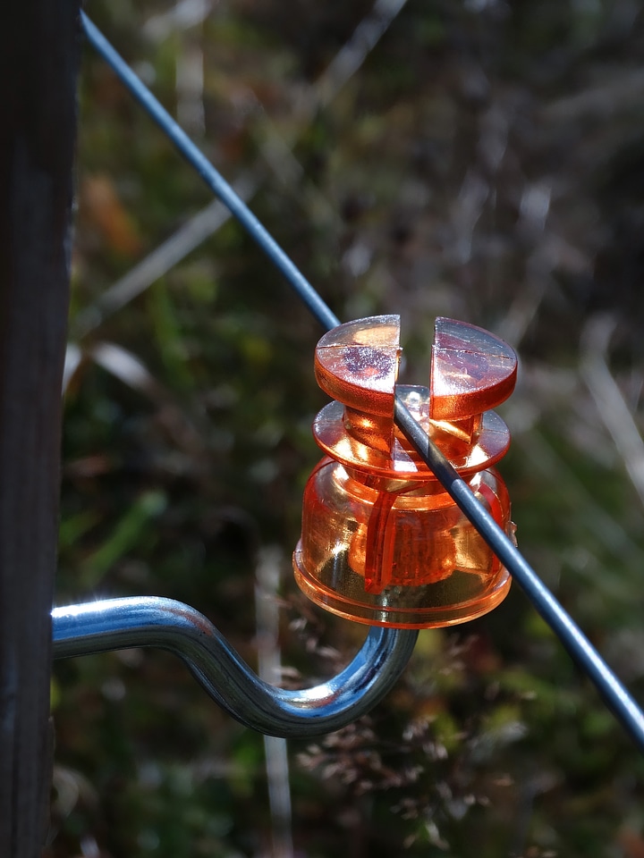 Fencing isolated shielding