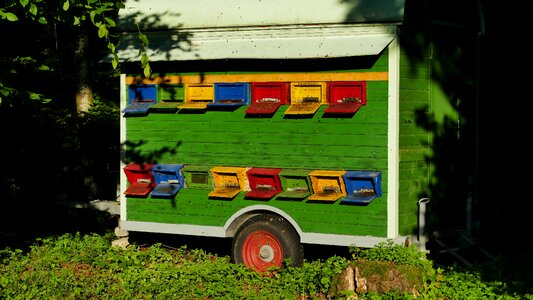Beekeepers truck bees colorful