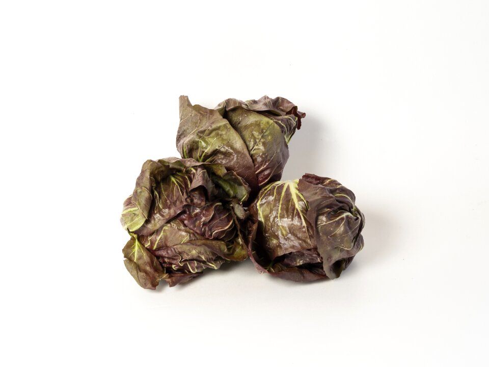 Red other lettuce