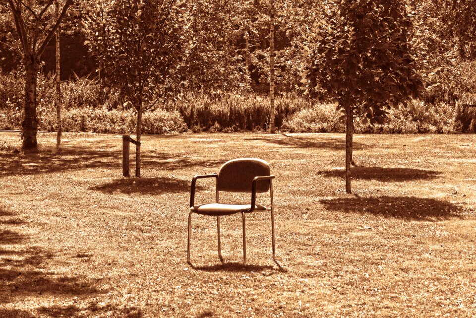 Sitting outdoors lawn