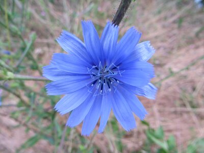 Nature landscape botany