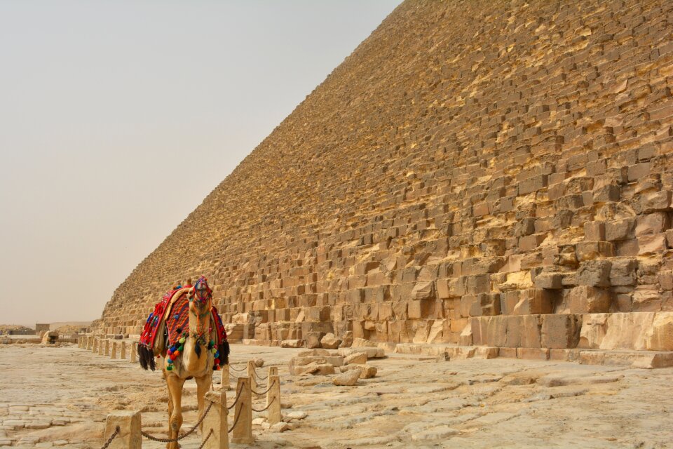 Desert cairo egyptian