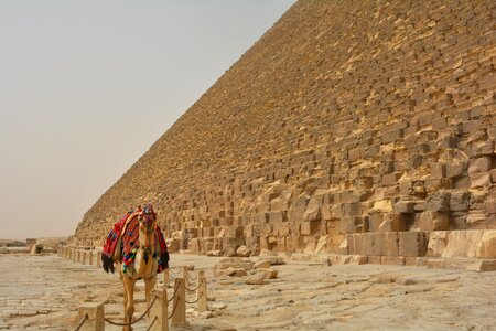 Desert cairo egyptian
