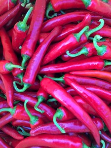 Pepper hot pepper hot