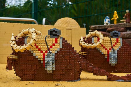 Lego blocks building blocks theme park