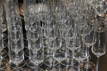 Fizz glasses cheers