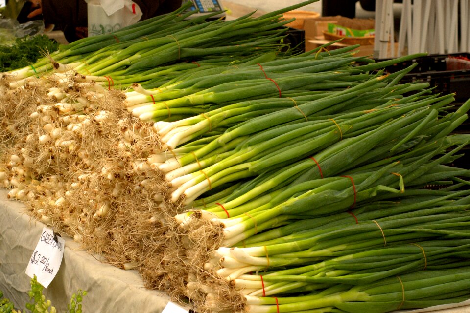 Vegetables food harvest