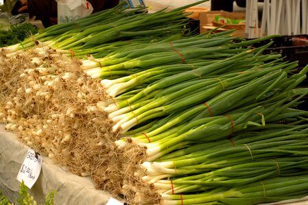 Vegetables food harvest