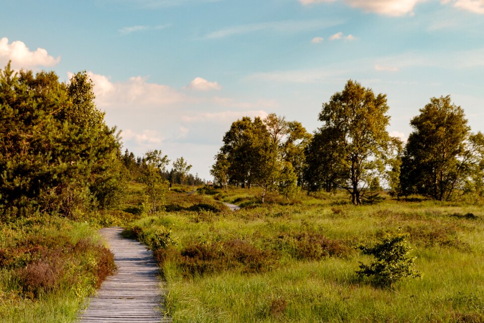 Landscape moor nature reserve