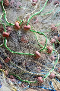Web fishing net fishing photo