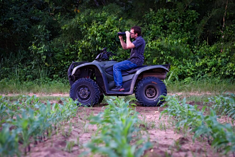 Portrait farm corn photo