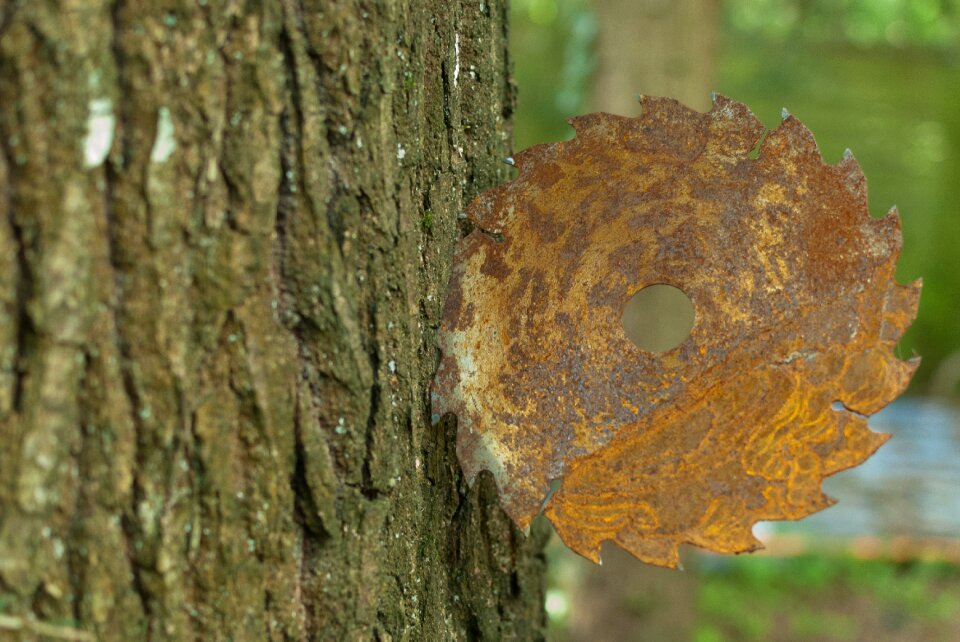 Blade circular rust