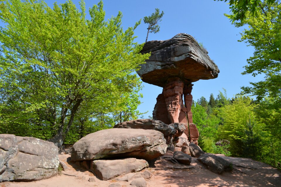 Palatinate forest tourism destination