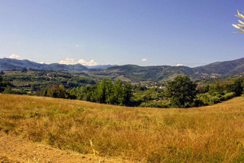 Landscape campaign cultivation