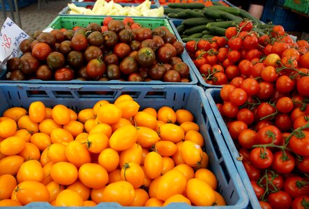 Red yellow fresh