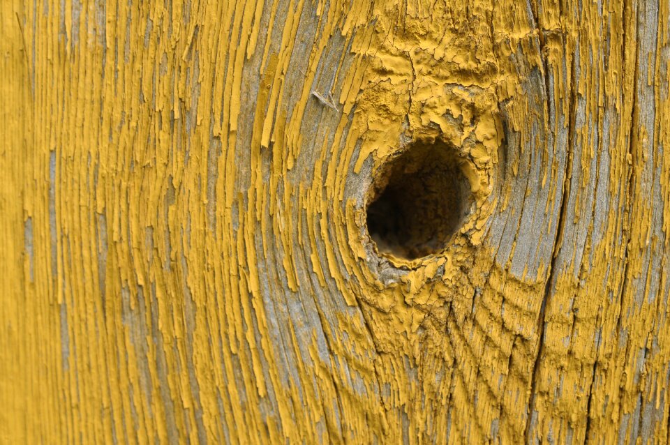 Wall orange cottage
