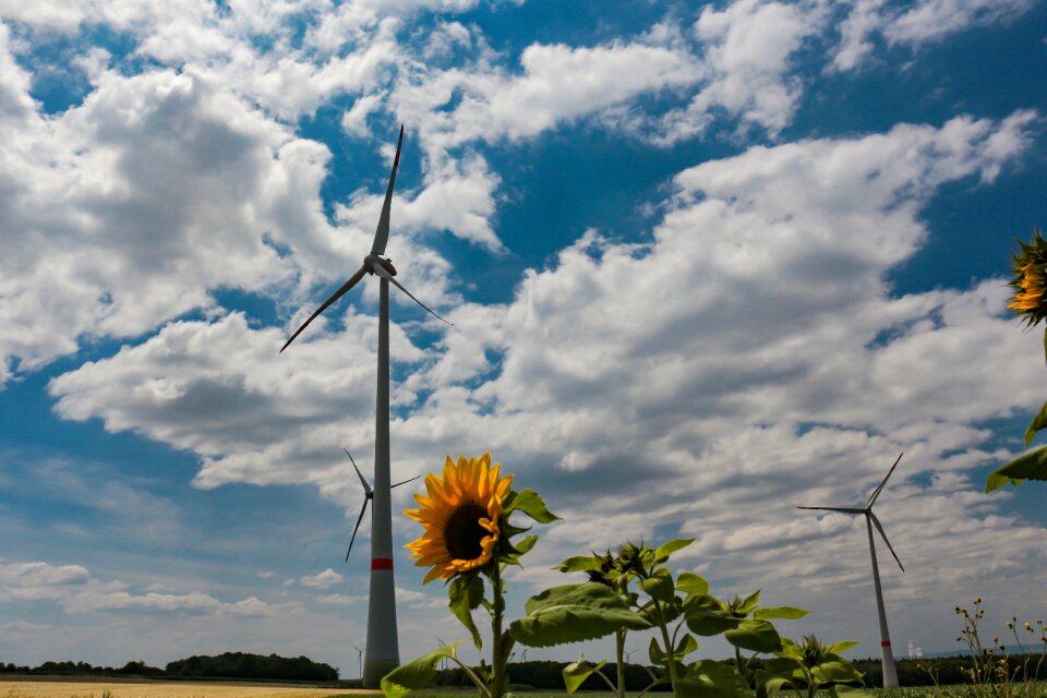 Wind energy power supply renewable
