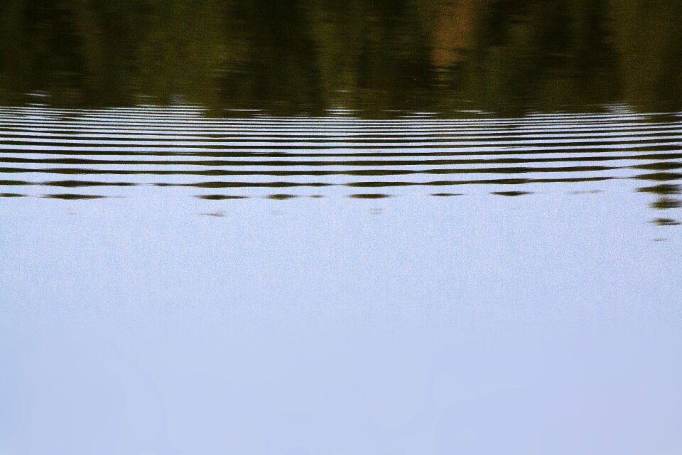 Nature mirroring wave