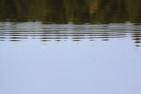 Nature mirroring wave