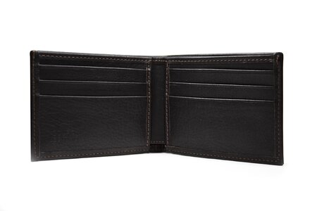 Crocodile currency purse