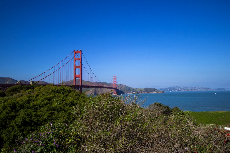 San francisco architecture landscapes