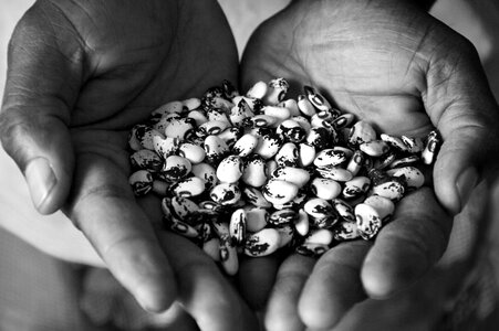 Seeds hands biodiversity