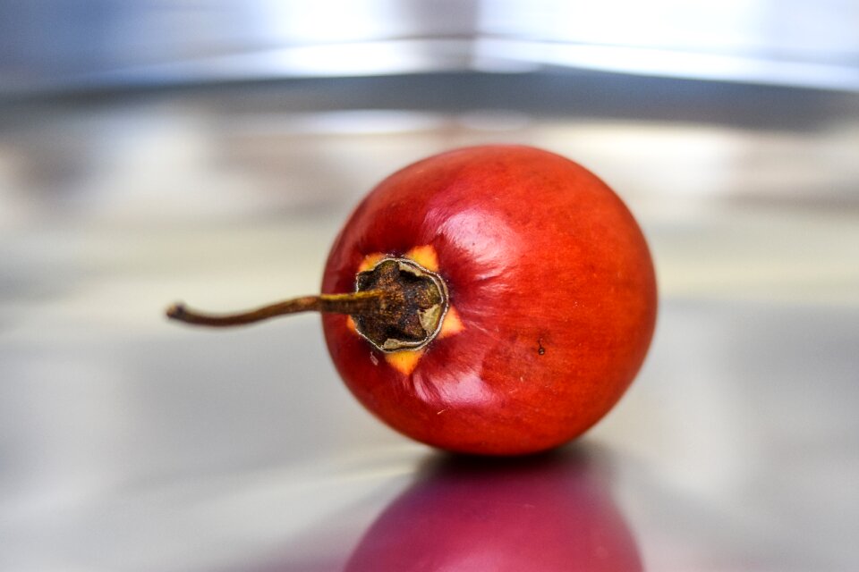 Red food bless you