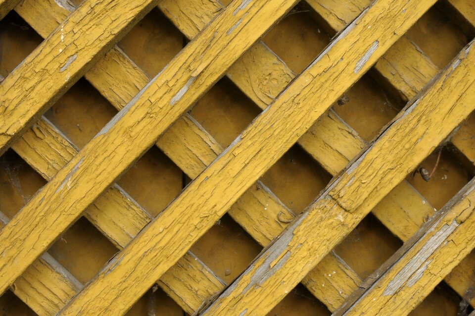 Orange trellis fencing