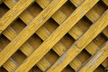 Orange trellis fencing