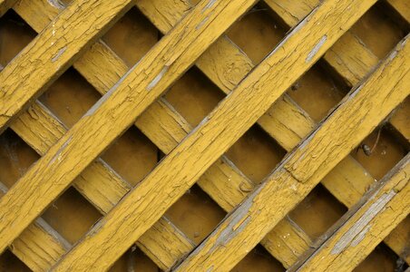 Orange trellis fencing photo