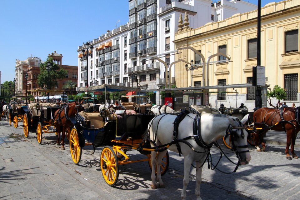 Horse-drawn carriages tourism architecture
