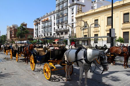 Horse-drawn carriages tourism architecture photo