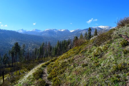 Trail wood landscape