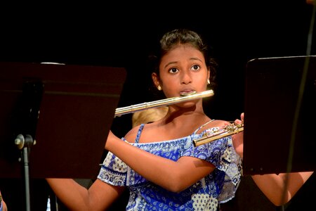 Concert flute music photo