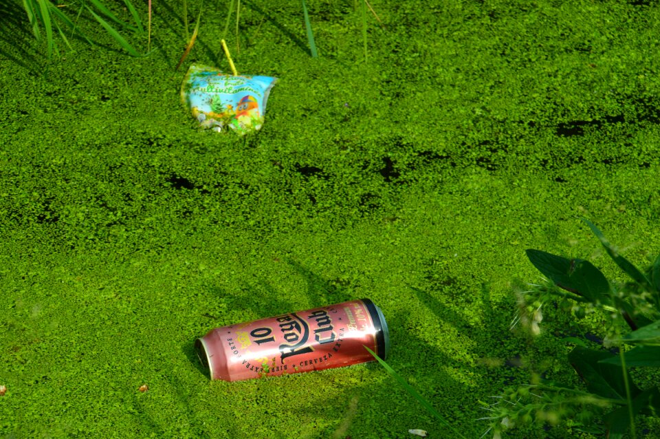 Nature bulk cans