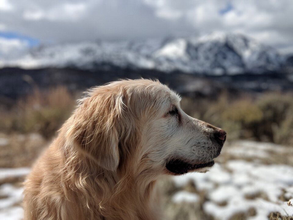 Snow outdoor mountains
