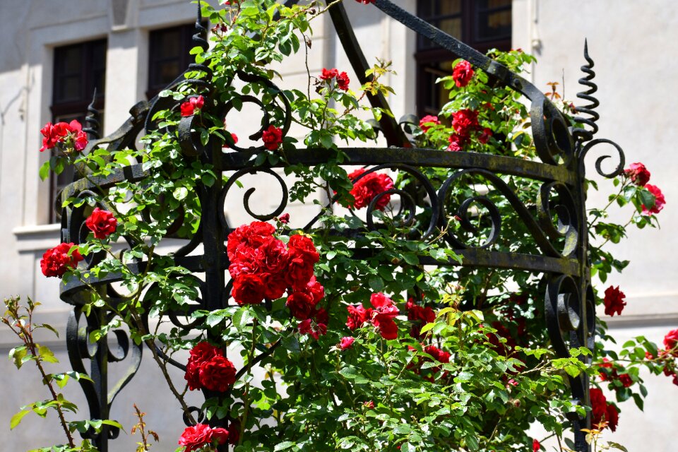 Czechia courtyard historical