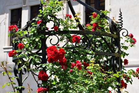 Czechia courtyard historical