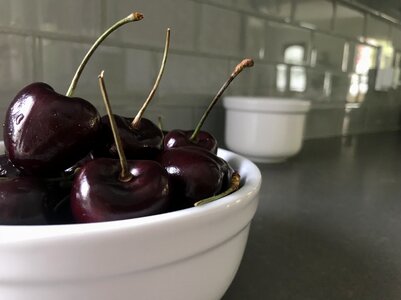 Fruit produce stems