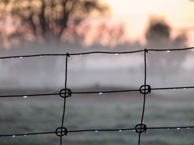 Frost fence wintry photo