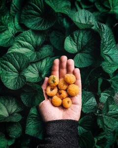 Raspberry hand lockscreen wallpaper