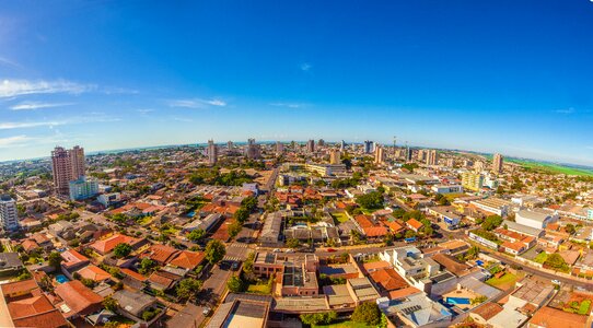 Brazil best of the wheat vista photo