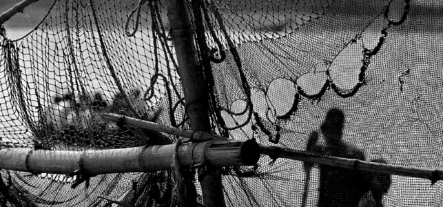 Gray fish gray fishing