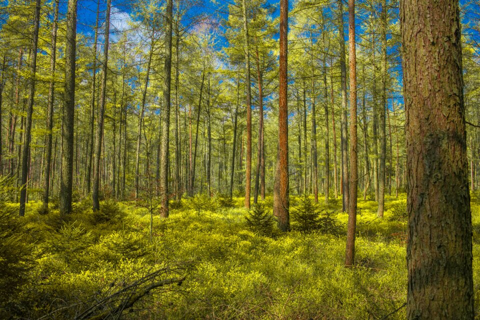 Hiking nature landscape