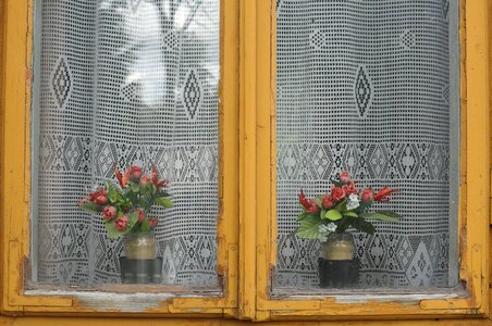 Flowers poverty province