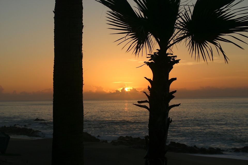 Cabo mexico beach