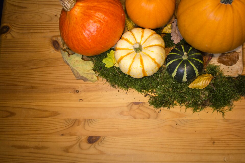Autumn patch fall