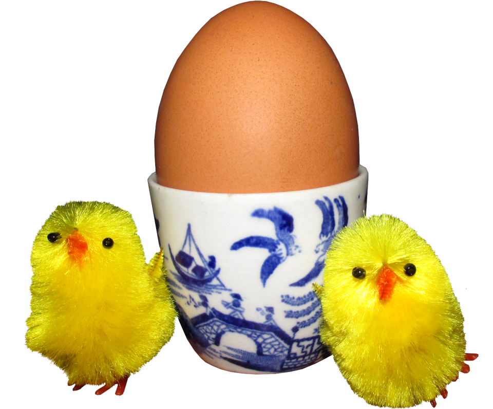 Chicken nutrition breakfast