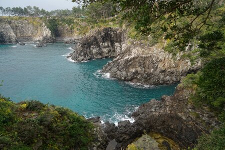 Island sea wood